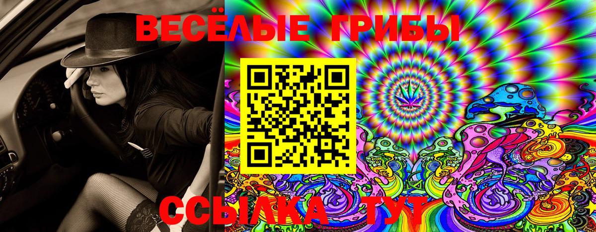 Галлюциногенные грибы Psilocybine cubensis Керчь